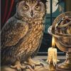 the astrologer owl