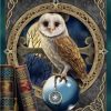 the spell keeper owl