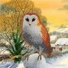 winter owl